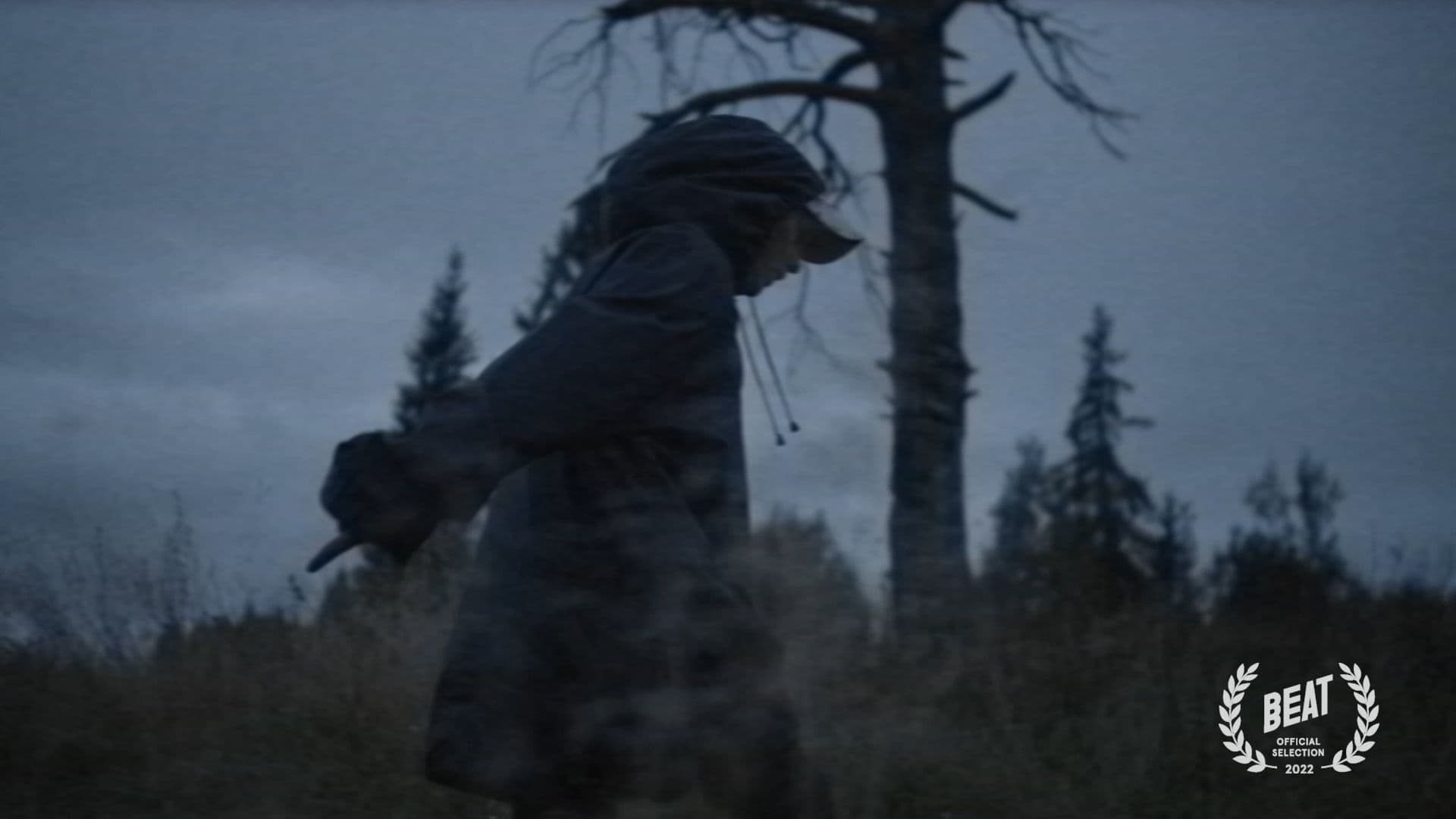 Video background image